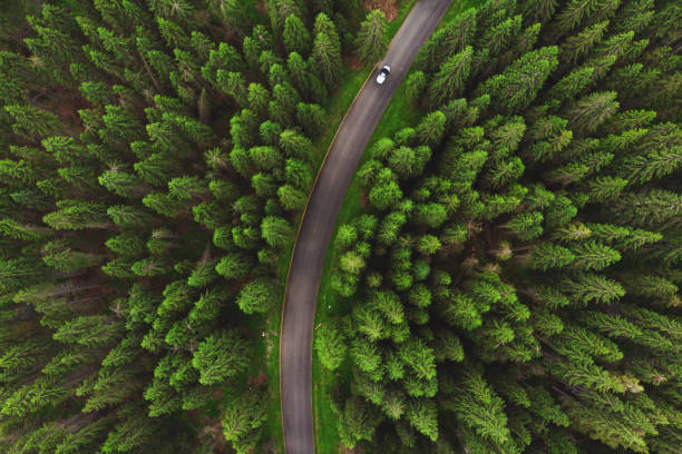 istock Aerial view of Transalpina road 1160954100