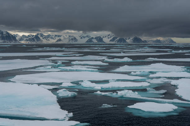 istock Pack ice and mountain range  cloudy weather at svalbard 1160955685