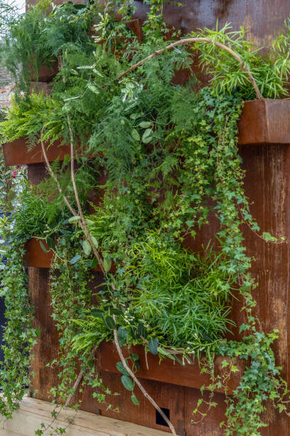 istock Background with beautiful plant decoration 1160959715