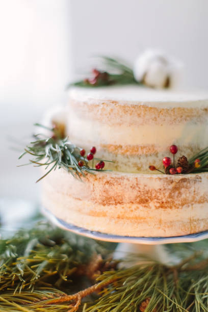 istock Naked Layer Cake Decorated With with pine, berries and cotton flower 1160963652
