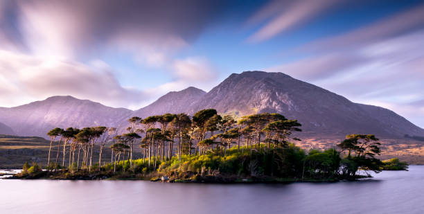 Pine Island Derryclare Lough Connemara Long exposure of dusk at Pine Island in Derryclare Lough which is located about 20 km (12 mi) east of Clifden, Connemara, on the N59 Galway Road. The majestic Twelve Bens mountain range lies to the north of the lake. connemara national park stock pictures, royalty-free photos & images