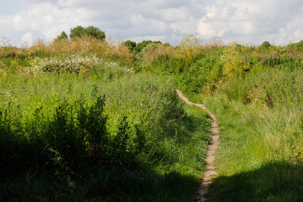 istock Countryside track through Mitcham Common in Surrey 1160972282