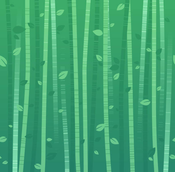Bamboo Background Bamboo background abstract with leaves growth seamless tiles left to right. bamboo background stock illustrations