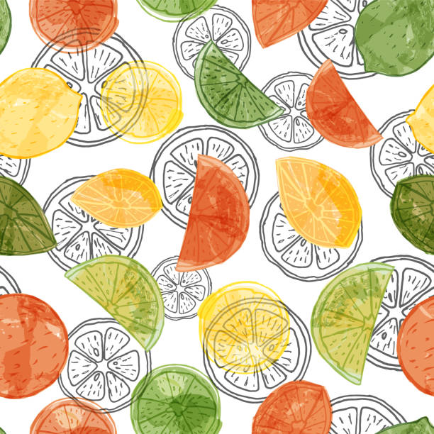 ilustrações, clipart, desenhos animados e ícones de vector o fundo do teste padrão sem emenda da fruta cítrica do efeito da aguarela com laranjas, cais e limões cortados na linha preta fatias da arte. - orange portion vector textured