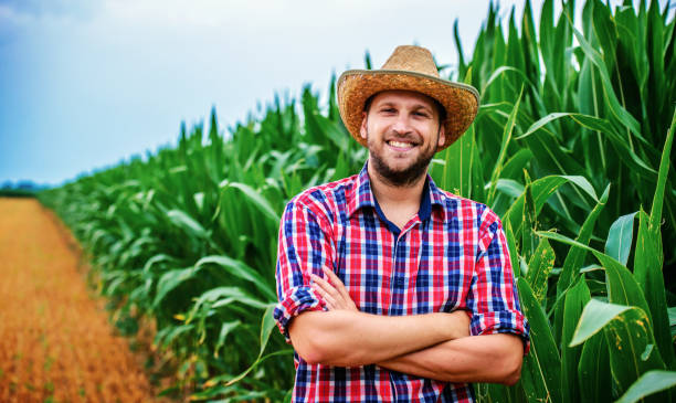 istock Farmer in a corn field. Agricultural concept 1160974288
