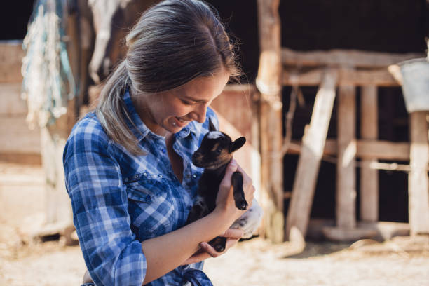 istock Girl holding a newborn goat 1160975339