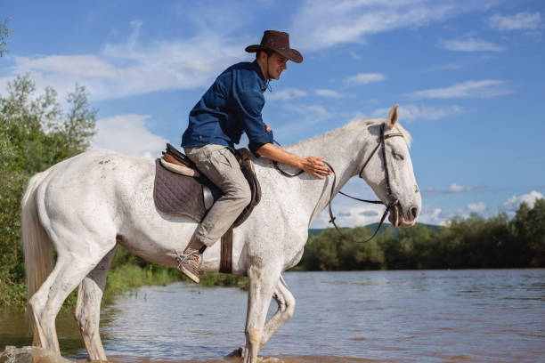 riding lovers on a black stallion in a river with two dogs