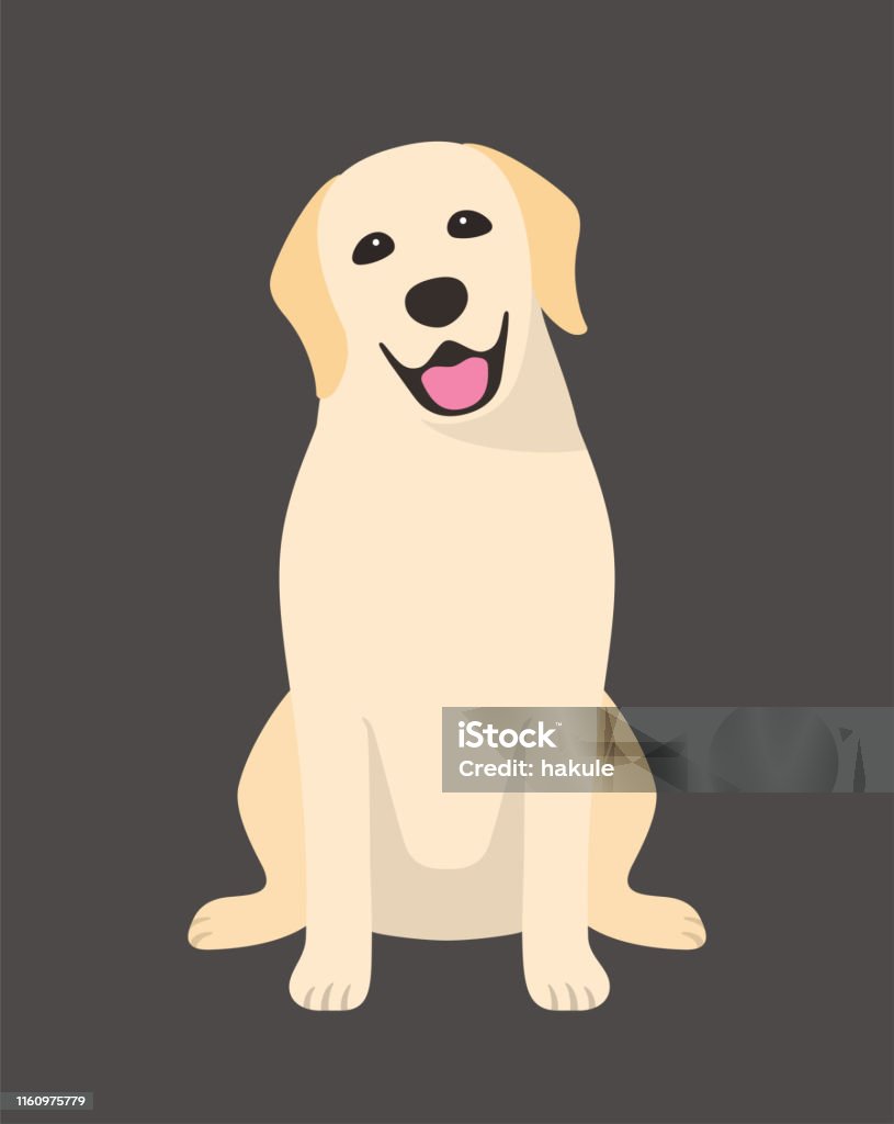 Golden Retriever is sitting in the front, looking at you with its head tilted. Dog stock vector