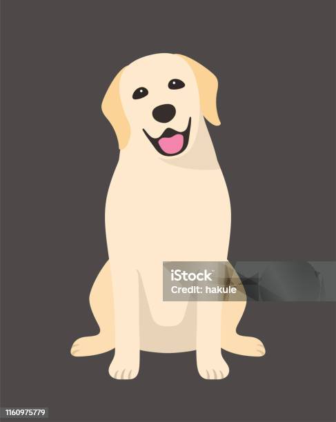 Golden Retriever Is Sitting In The Front Looking At You With Its Head Tilted Stock Illustration - Download Image Now