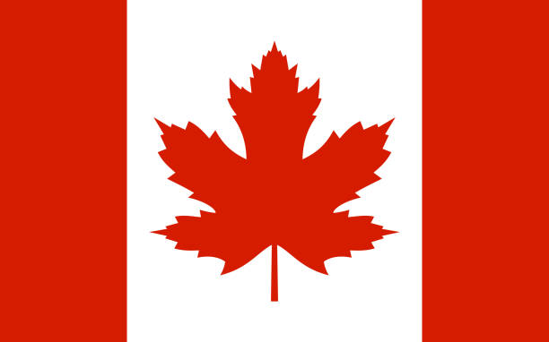 flaga kanady z prawdziwym czerwonym liściem klonu. wektor - flag canadian flag patriotism national flag stock illustrations