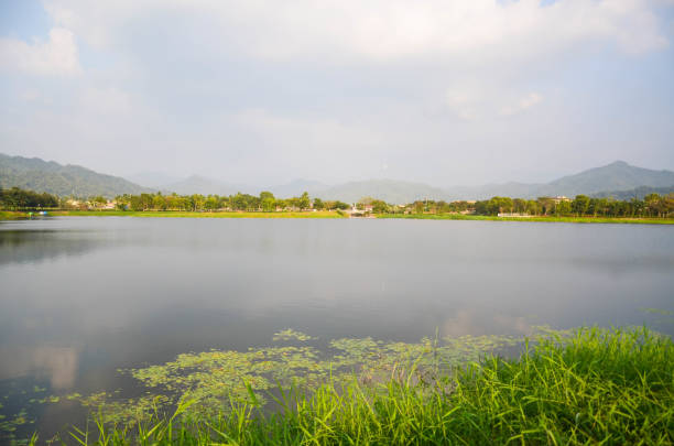 and charming, asia, beautiful park, calm, famous, green background, kaohsiung, landscape, meinung, natural, nature, quiet, taiwan, tourism, tradition, travel, trees, water, wood