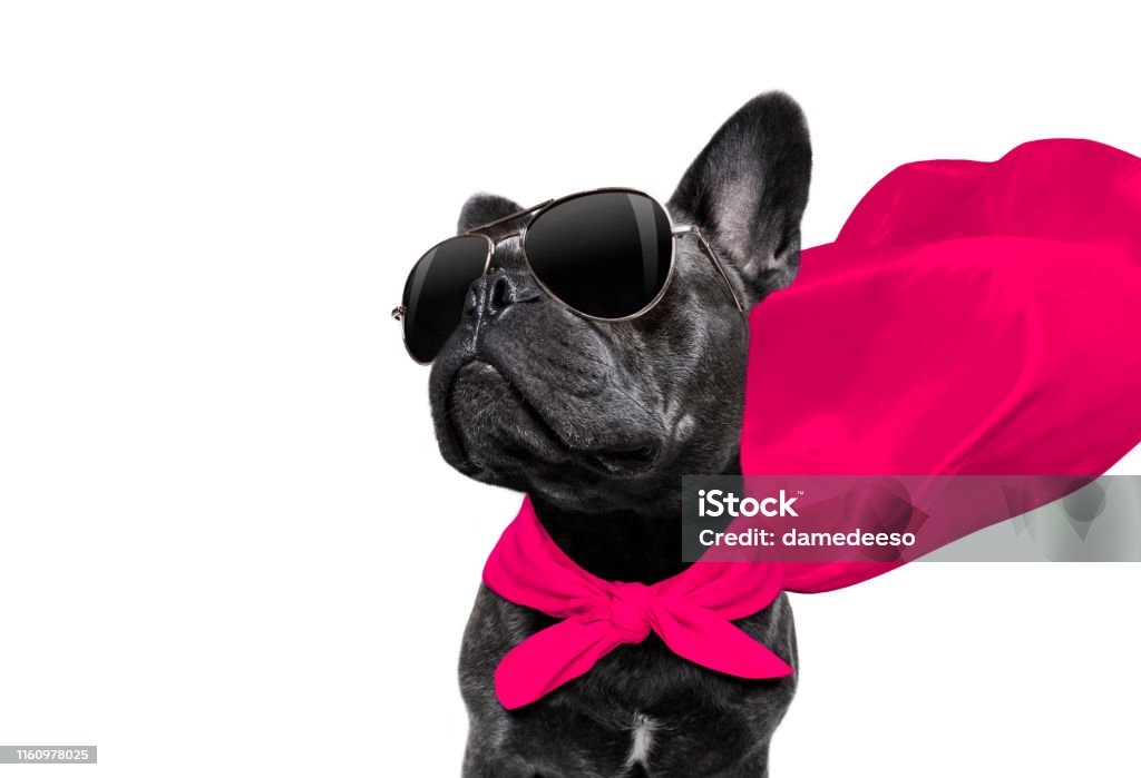 super hero dog super hero french bulldog dog with  red cape and  sunglasses for justice and strenght isolated on white background Standing Out From The Crowd Stock Photo
