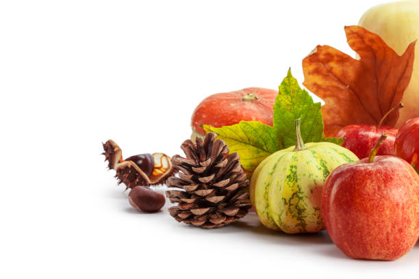 Autumn display with pumpkin and leaves isolated on white background