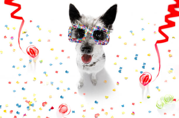 istock happy birthday  valeintines dog 1160978680