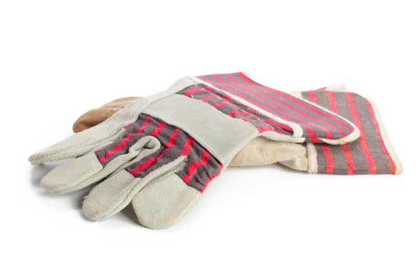 Pair of gloves