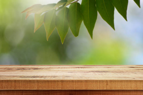 istock Blurred green leaf nature background and wooden desk. 1160980095