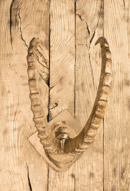 istock golden ram horns on a wooden wall 1160981124