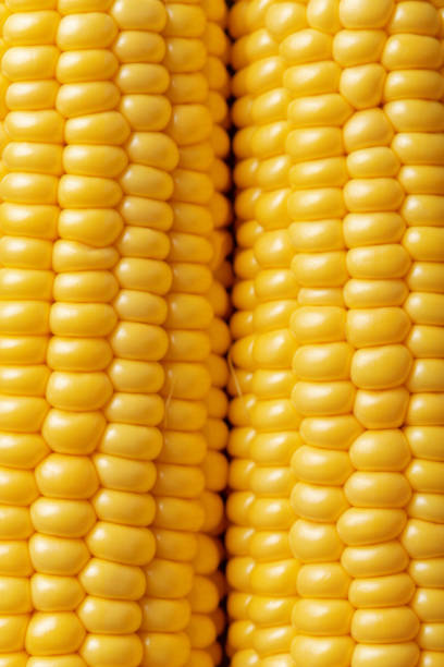 istock Corn detail viewed from above. Top view. Full frame 1160982051