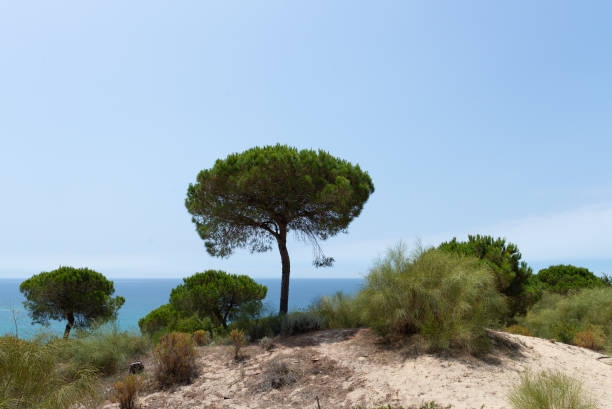 San Rafael Beach, Albufeira