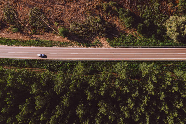 istock Aerial view of single white car on road 1160982216