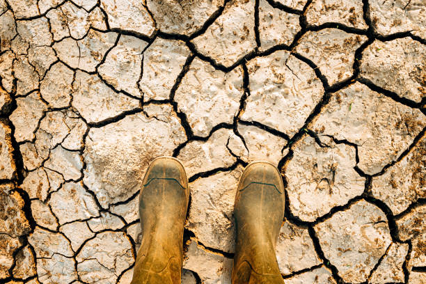 aquecimento global e efeitos de mudança climática ameaça para a humanidade - mankind - fotografias e filmes do acervo