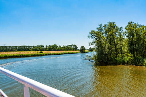 Dutch water landscape in National park Hollands Biesbosch in Drimmelen.  The Netherlands