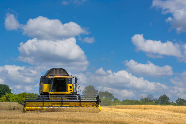 istock A combine harvester in the field harvesting grain crops. 1160988143