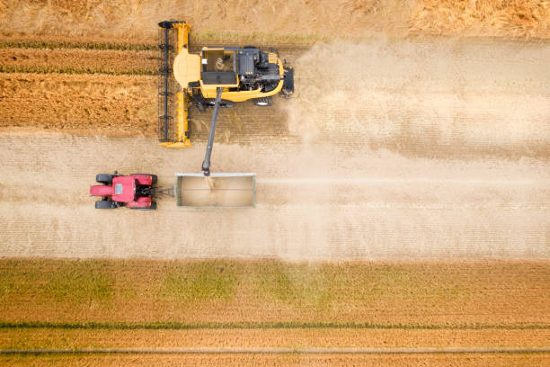 istock Harvesting a wheat field - aerial view 1160988187