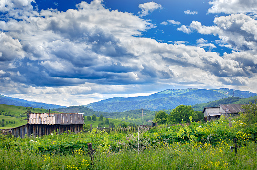Farmhouses, Barns, Fences and Power Lines at Altai Mountains, Kazakhstan, With a Ridge in Background on a Cloudy Summer Day.