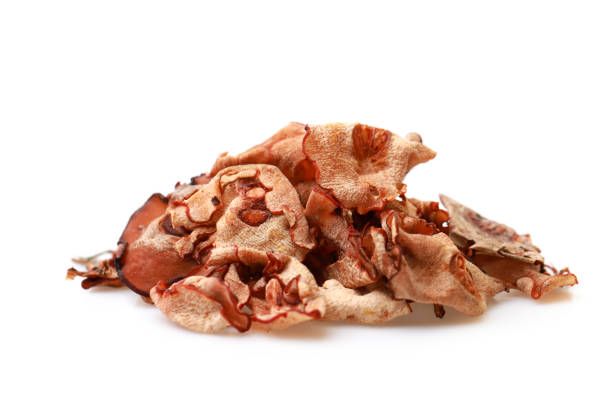 istock Dried tamarind peel on white background 1160989247