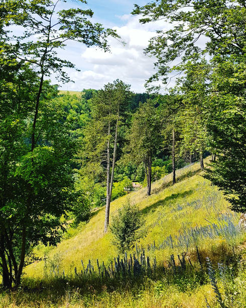 View from Pewley Down Guildford Surrey England Europe