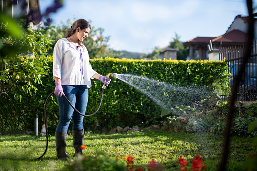 Young Latino woman in full Length holding watering garden with water hose.