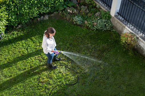 Aerial view of Latino woman watering garden with water hose.