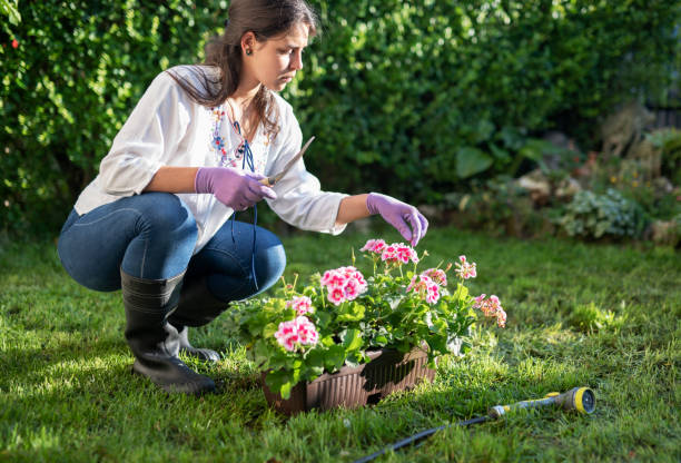 istock Gardener working in garden. 1160990718