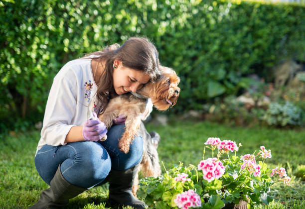 istock Gardener working in garden. 1160990742