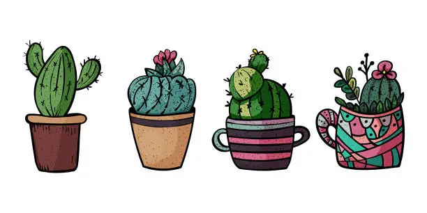 Vector illustration of Four cute cacti in a pot. Botanical illustration. Banner for any design. - Vector.