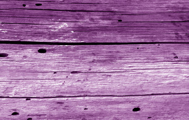 紫色の古いグランジ木製フェンスパターン。 - 16017 ストックフォトと画像