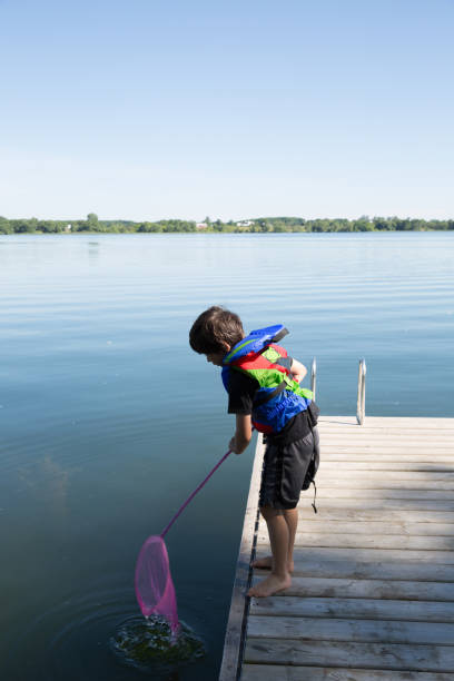 istock Little boy fishing on the dock with a net 1161001347