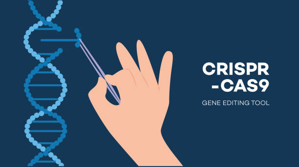 CRISPR-CAS9 text and hand with tweezers holding element of DNA helix flat style CRISPR-CAS9 text and hand with tweezers holding element of DNA helix flat style, vector illustration. Biology or biotechnology themed banner design, manual genetic engineering gene editing stock illustrations