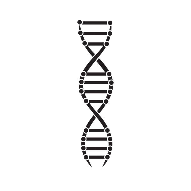 Dna Spiral Icon Design For Biology Science And Chromosome Molecule Research  Stock Illustration - Download Image Now - iStock