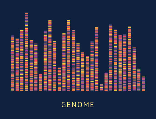 게놈 데이터 패턴 시각화 다이어그램 - abstract dna cell multi colored stock illustrations