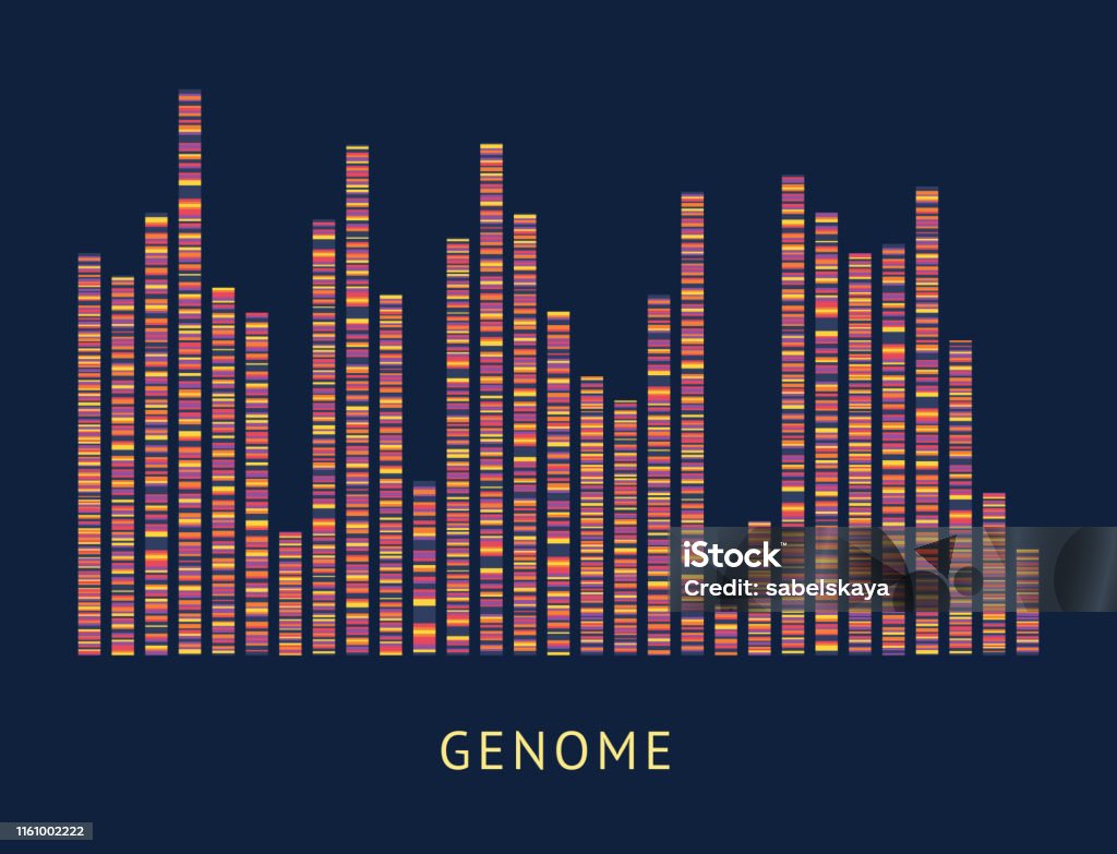 Genome Data Pattern Visualization Diagram Stock Illustration - Download ...
