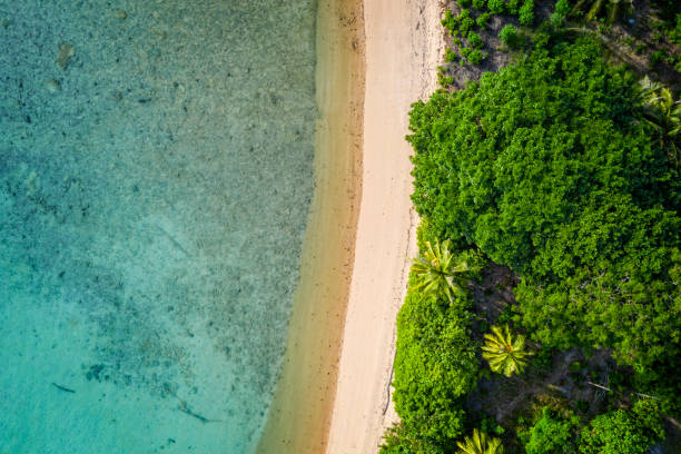istock Aerial view of the beach 1161002266