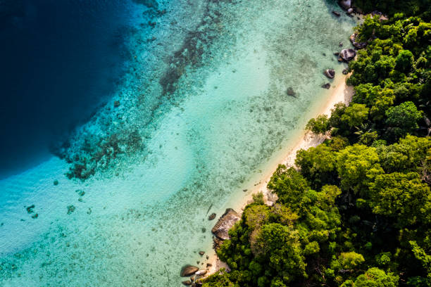 istock Sea around Tioman Island 1161002380