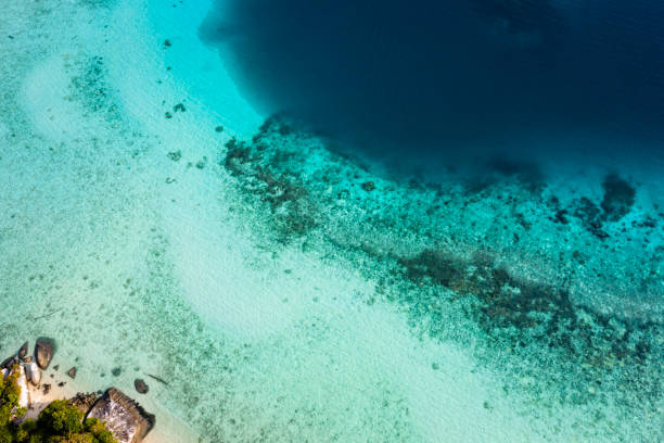 istock Turquoise South China Sea 1161002419