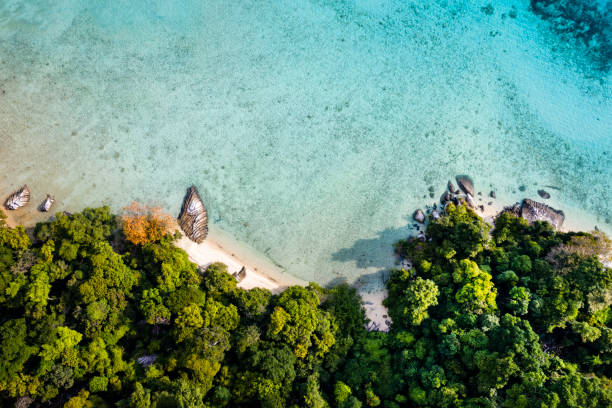 istock Aerial view of Tioman Island 1161002579