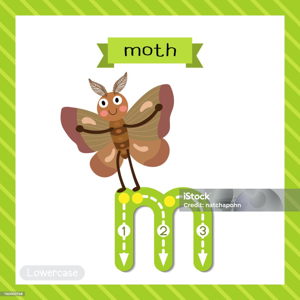 Moth Tracing Letter M Lowercase Tracing Moth Stock Illustration - Download Image Now ...