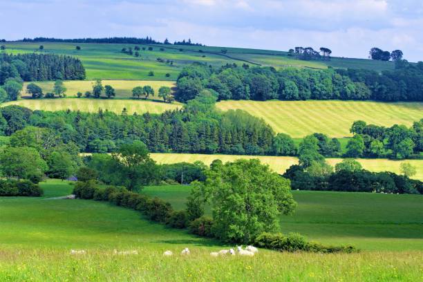 istock Summer in Crosby Ravensworth, Yorkshire Dales 1161002880