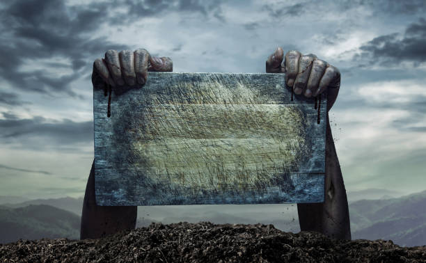 istock Zombie hand holding old wooden board, Empty space for text or draw 1161004304