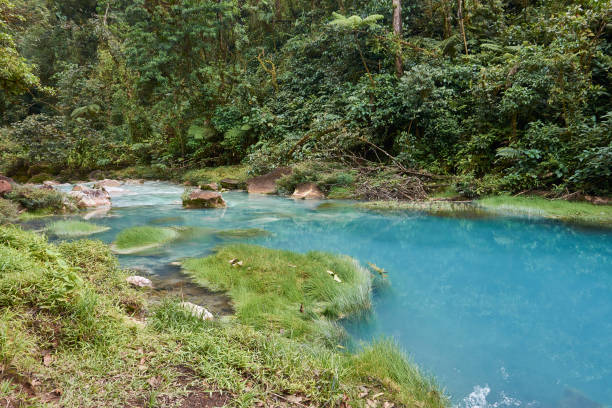 istock Celeste River in Tenorio Volcano National Park, Costa Rica 1161008315